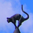 Аватара пользователя